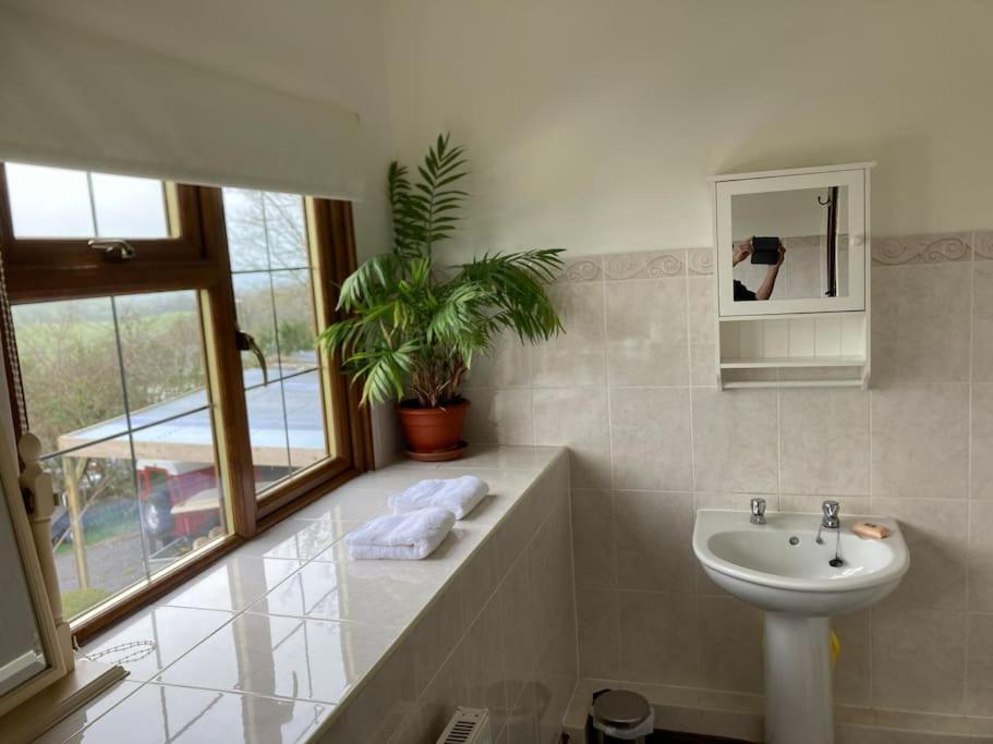 Bryntirion Farmhouse Rooms Llanfair Caereinion Exterior photo